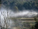 熊猫旅游专列：吐鲁番火焰山 、库车王府、轮台胡杨林、帕米尔高原、喀什古城/哈密伊吾胡杨林空调专列12日游